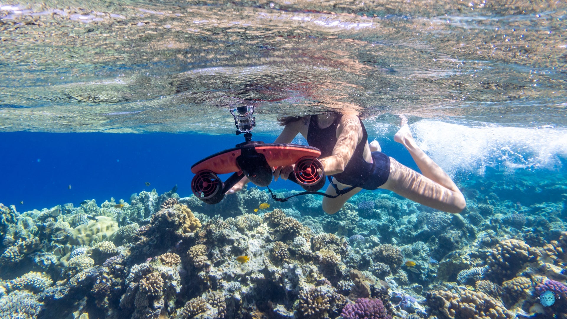 Navbow Underwater Scooter – Professional Dual-Motor Sea Scooter